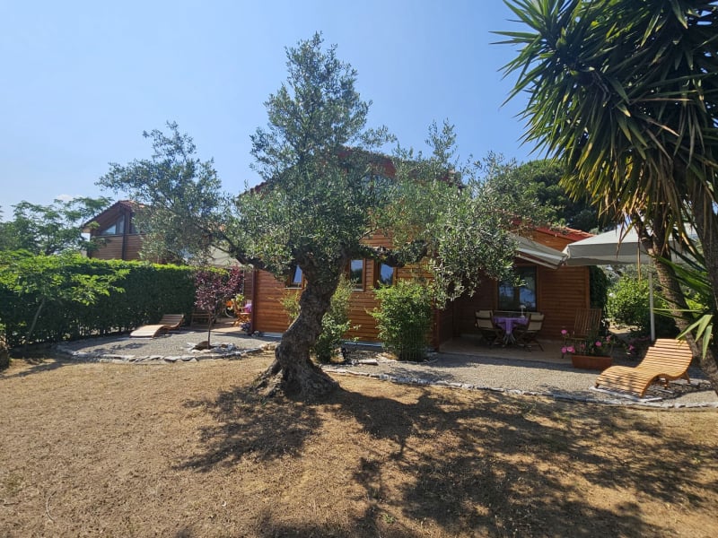 Houses and garden